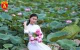 Dịu dàng mùa sen Hà Nội